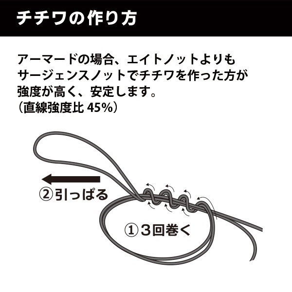 アーマード FH 鮎 水中糸